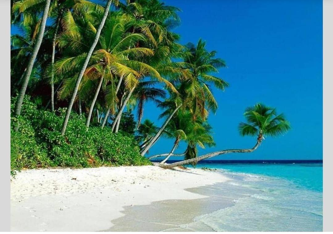 Airbnb At Sri Sayang Batu Ferringhi Beach Экстерьер фото